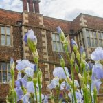 doddington-iris-2-web_658_375_84_c1_c_c_0_0_1