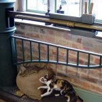 nav-house-web_650_375_84_c1_c_c_0_0_1