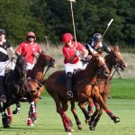 leadenham-polo-club-match-2-web_658_375_84_c1_c_c_0_0_1