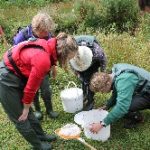 lincolnshire-chalk-streams-volunteer_250