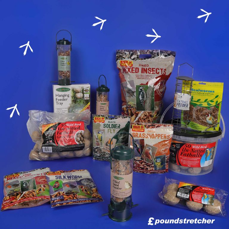 Win this brilliant bundle to bring birds to your garden