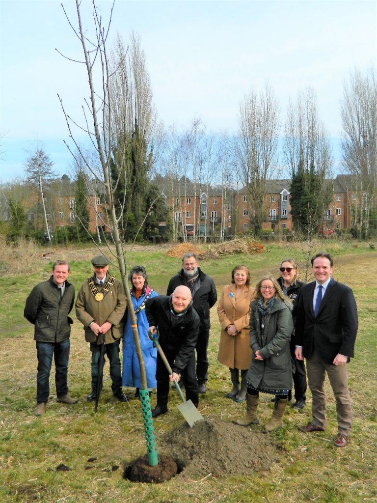 Queen’s Canopy trees planted in Grantham park