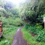 Photograph-of-Axholme-Line-Local-Nature-Reserve-NLC-Web