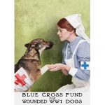 blue cross