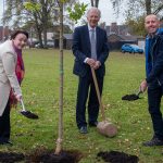 Planting-tree