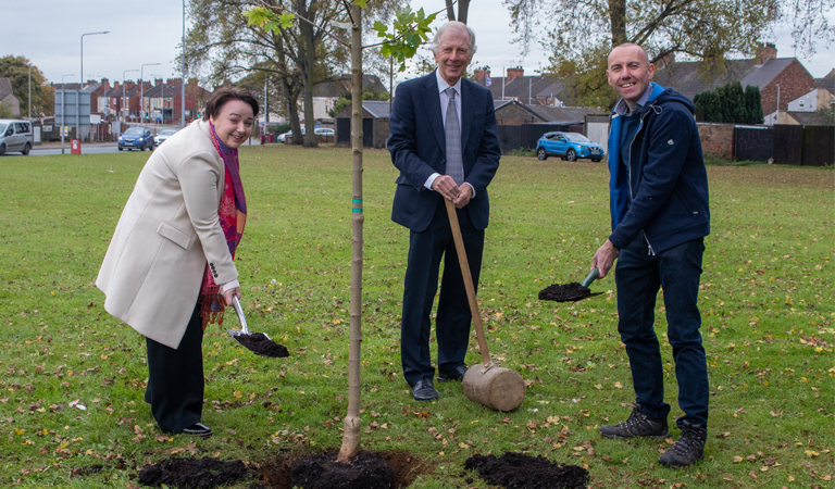 Tree planting to be fast-tracked as council set to join Humber Forest partnership