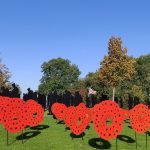 IMG_20221006_095655
