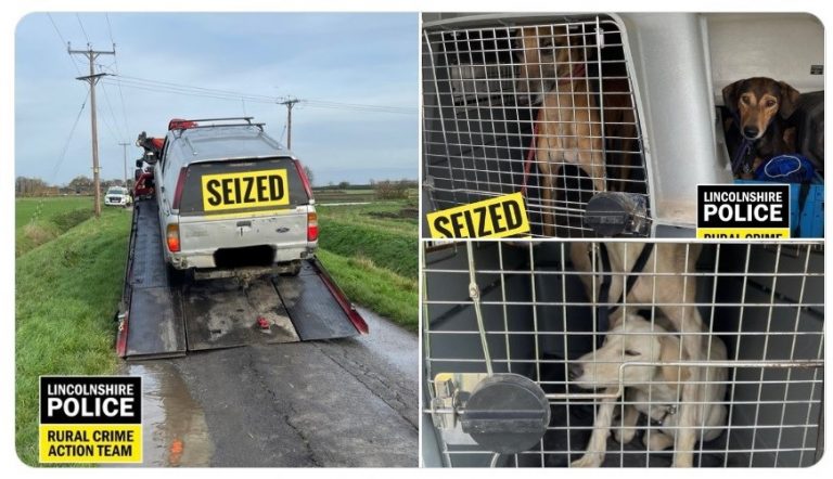 Dogs and car seized as three suspected hare coursers arrested