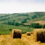 wolds-lr-crop-w1280