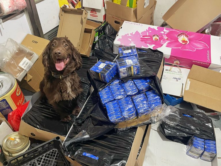 Large haul of illicit cigarettes and tobacco seized from local businesses