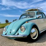 Beetle 1a