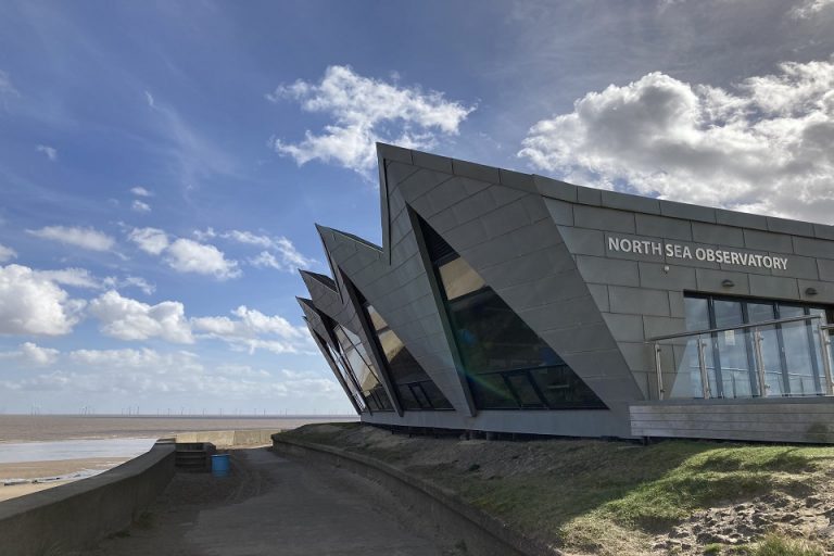 Natural England stages a day of summer activities on the coast