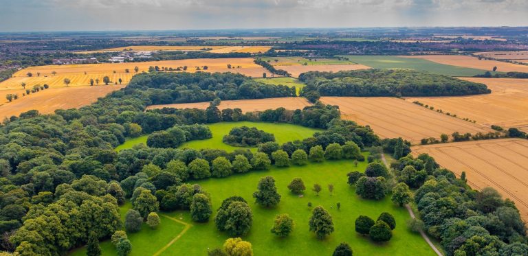 Have your say on North East Lincolnshire’s tree strategy