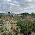 Millstone Garden Centre