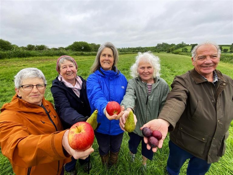 New orchard takes root in Wilsford