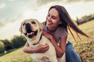 Dog zones updated on Lincolnshire beaches
