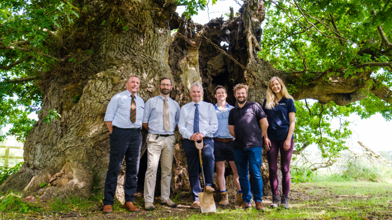 New plan aims to plant 200,000 trees in Lincolnshire by 2026