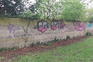 South Holland District Council to tackle graffiti in Spalding by offering £500 reward