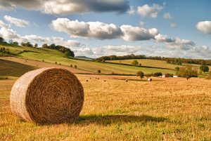 Lincolnshire County Council funds advice sessions for farmers