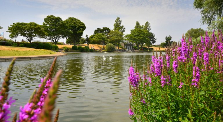 Cleethorpes makes ‘Bucket and Spade’ list of top ten seaside attractions