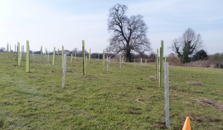 Council seeks farmers and landowners to become part of Northern Forest scheme