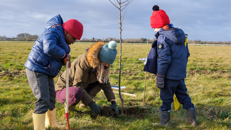 County Council gears up for tree and hedging plant giveaway