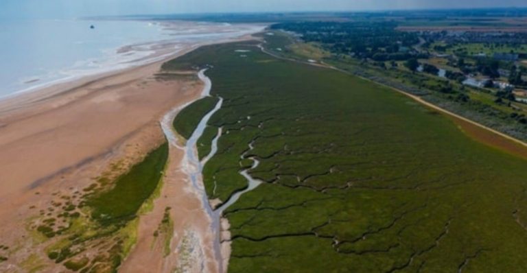 Cleethorpes gets another £250,000 to protect fragile coastline