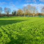 rasen orchard