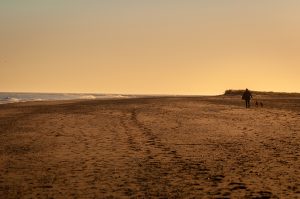 East Lindsey Investment Fund awards £55,000 towards creation of hub for showcasing coastal safety