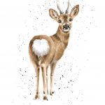 Roe Deer illustration taken from A WILDING YEAR Bringing Life Back To The Land by Hannah Dale, published by Batsford in hardback at £14.99.