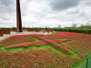 Thousands of poppies take flight in striking VE Day 80 tribute
