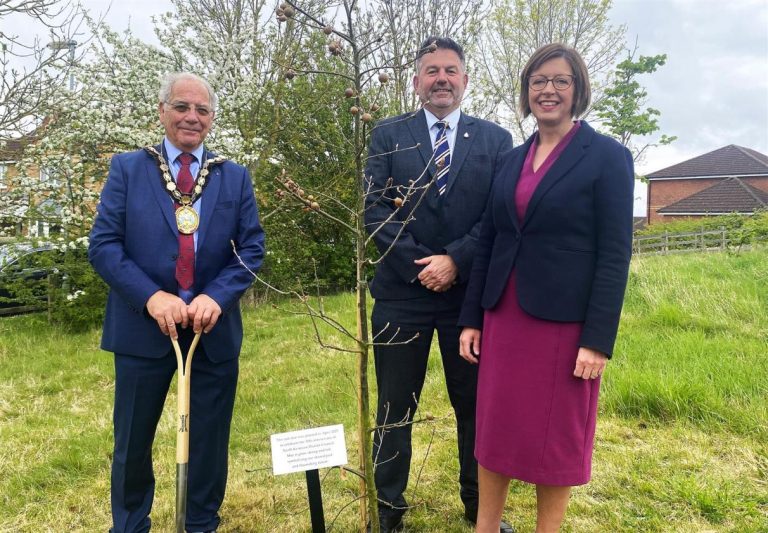 Golden anniversary oak tree takes root in Sleaford