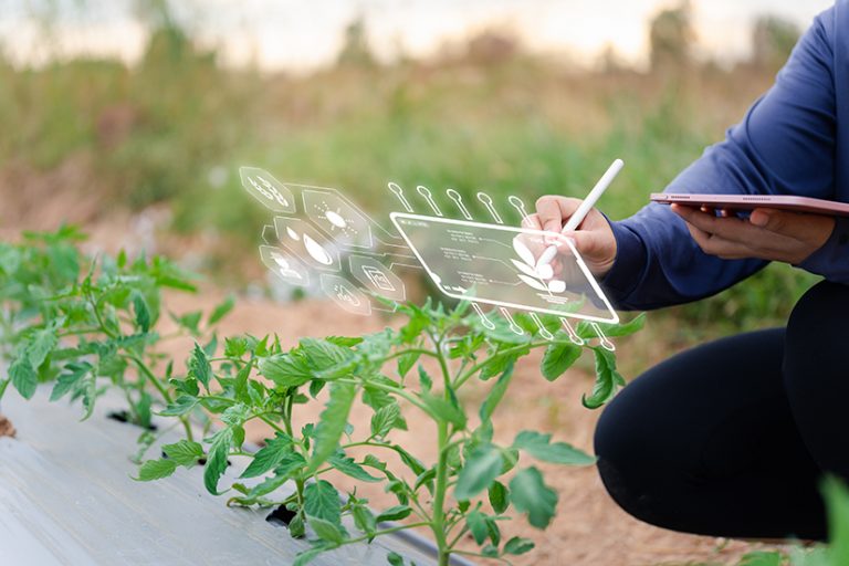 £5m award to help commercialise Lincoln-led agri-tech research
