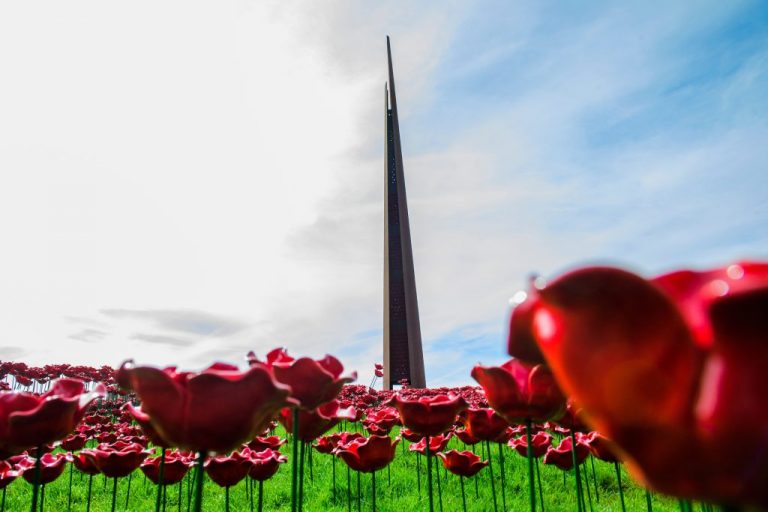 Unique VE80 project combines rugby and remembrance