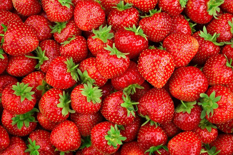 British strawberries set to be sweeter and arrive earlier this summer