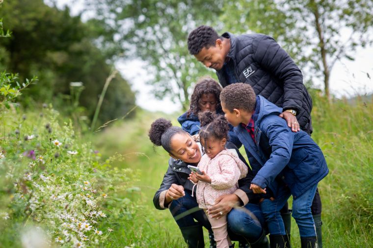 Families invited to join the Big Butterfly Count