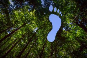 Lincolnshire Co-op maps out greener future
