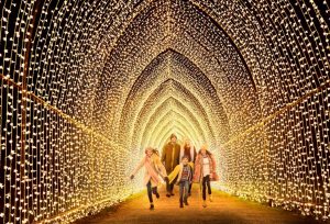 Experience the festive magic: Belton Estate reveals enchanting new Christmas light trail for 2025