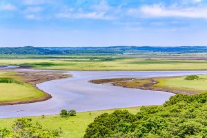 New wetland plan could transform flood-prone Horncastle site