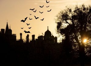 Burghley House welcomes Half Term Halloween fun