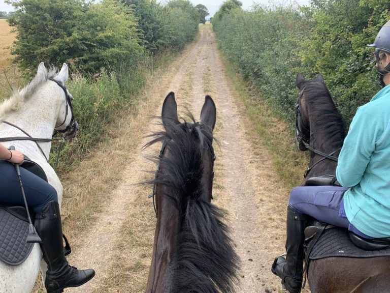 Lincolnshire takes a top spot in UK’s best travel destinations